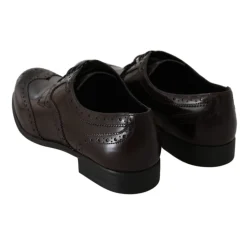 Dolce & Gabbana Snøresko*Broques Oxford Wingip Brun
