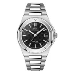IWC Schaffhausen Ure*Ingenieur Automatic 35 Grå