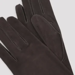 Lanvin Handsker*Long Slim Suede Gloves Brun