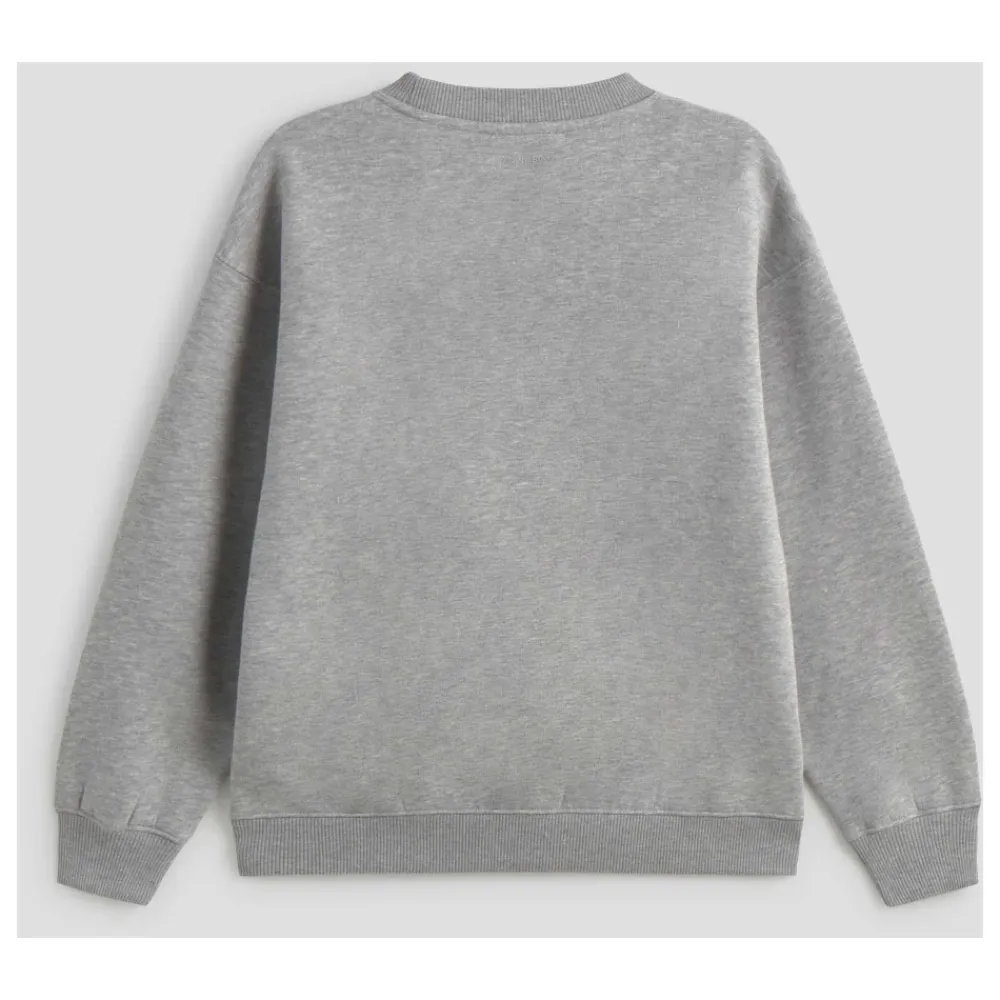 Anine Bing Sweatshirts|Striktrøjer & Sweatere*Spencer Sweatshirt Grå