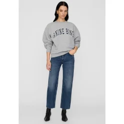 Anine Bing Sweatshirts|Striktrøjer & Sweatere*Spencer Sweatshirt Grå